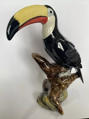 Buy Wade - Large Hand Painted Toucan • 120£