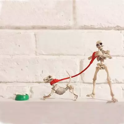 Buy Dollhouse Miniatures Rement Pose Skeleton Dog Bowl Set Halloween Props • 6.71£