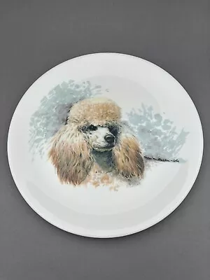Buy Poodle 8” Collectors Plate English Fine Bone China • 3.45£