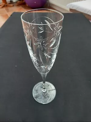 Buy Royal Doulton  Jasmine  Champagne Flute / Glass - Signed / Etched • 20£