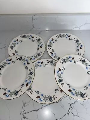 Buy COLCLOUGH 'Linden' Bone China 5 X 81/4”Salad/Lunch Plates In Excellent Cond • 4.49£