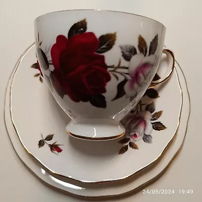 Buy VTG Colclough Bone China Amoretta Roses Pattern Vintage • 24.50£
