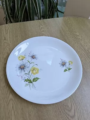 Buy Vintage Meakin Glo White Buttercups And Daisies Luncheon Plates 9  Excellent  • 3.75£