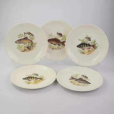 Buy Crown Devon, 5 X Fish Plates, 9 Inches • 28£