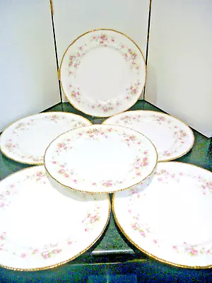 Buy Royal Albert Victoriana Rose 6x Dinner Plates (perfect Gilt) • 80£