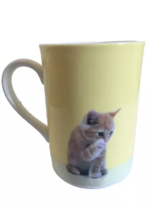 Buy Marks And Spencer Mug Kitten Cat Yellow Tea / Coffee Mug Super Fine China • 8£