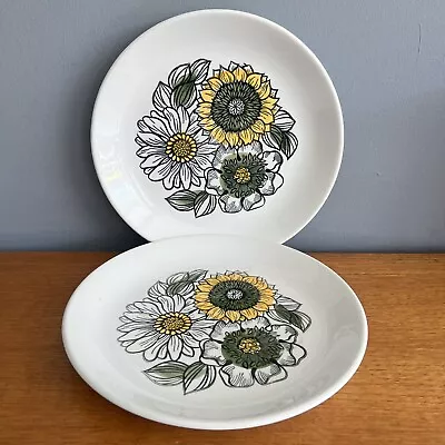 Buy Pair Of Vintage 1970s Biltons Staffordshire Pottery Dinner Plates Floral Daisy • 8£