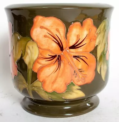 Buy Stunning Moorcroft 'Hibiscus' On Green Planter Made In England! • 285£
