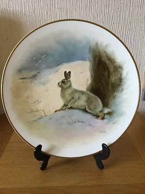 Buy Vintage Hand Painted Plate Mountain Hare Signed Paul Stanley ( Royal Worcester) • 15.99£