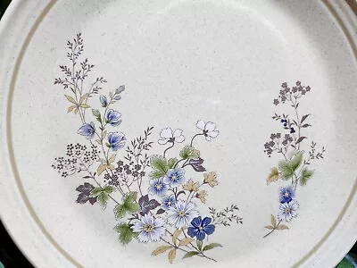 Buy Vintage ROYAL DOULTON Fairford Dining Plates (Set Of 4) • 15£