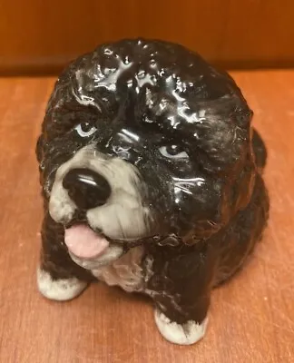 Buy Kevin Francis Face Pot- Black Portuguese Water Dog ADORABLE! • 18.64£