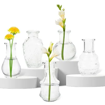 Buy HEFTMAN Small Glass Vase Set Of 5 Clear Vintage Mini Flowers Table Transparent • 14.99£