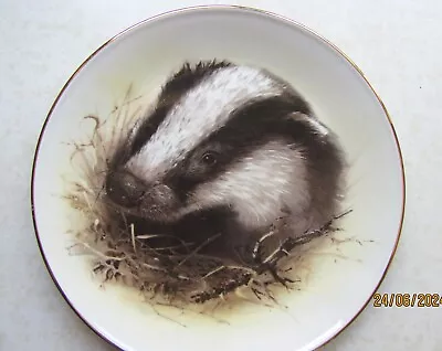 Buy Fenton~badger~china~wall Plate~10.5  ~pre Loved • 6.99£