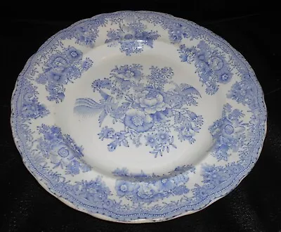Buy Antique Wm Adams Blue & White Asiatic Pheasants Pattern Pottery Dinner Plate • 25£