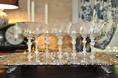 Buy 8 Cambridge Valencia Tall Champagne Coupes - Sherbets - 1930's - Etched Wreaths • 93.18£