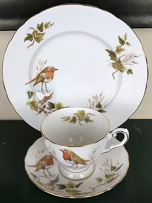 Buy Tuscan Fine English Bone China Robin Redbreast Pattern Trio Cup Saucer Plate • 16.31£