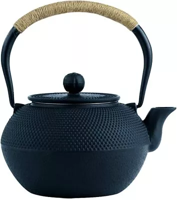 Buy Fanaticalpurchasejp Iron Teapot, Nambu Ironware, Traditional Crafts (900ML) • 35.52£