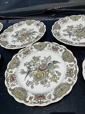 Buy Set 6 Vintage Ridgway Staffordshire England Windsor Dinner Plates - Green 9 3/4” • 53.07£