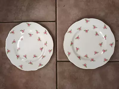 Buy 2 X Duchess Bone China Salad/dessert Plates 8 1/3  , Pink Roses - S11 • 5£