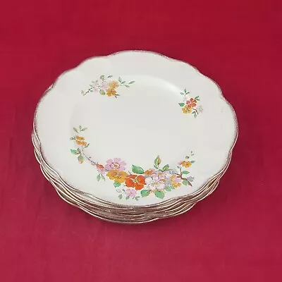 Buy J & G Meakin Sunshine - Set Of Six 9  Lunch Plate - 8037 OA • 24.50£