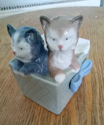 Buy NAO Kittens In A Box • 15£
