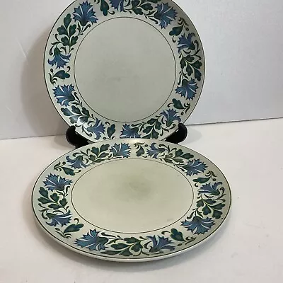 Buy 2 X Vintage Midwinter Stonehenge Caprice 10.5  Dinner Plates - VGC • 25£