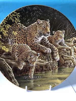 Buy The African  Leopards - Wedgwood Plate • 3.50£