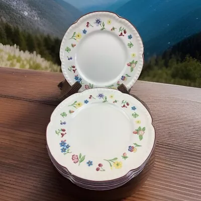 Buy 7 X 8 Inch JOHNSON BROS SALAD, SANDWICH Or SNACK PLATES, FLEURETTE PATTERN • 24£