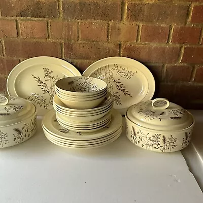 Buy Vintage J And G Meakin England Windswept  20 Piece Dinner Set • 100£