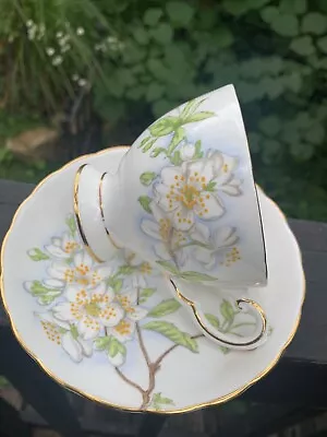 Buy Tuscan Fine English Bone China Footed Tea Cup & Saucer Flowers W/ Gold Trim • 16.77£