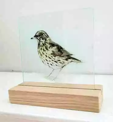 Buy Stained Glass Thrush Bird Suncatcher Stain Glass Gift Decoration Window Birds • 35£