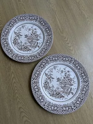 Buy Vintage English Ironstone Tableware Jardiniere Pair Dinner Plates 9 3/4  • 7.50£