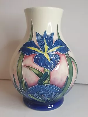 Buy Old Tupton Ware Blue Iris 6  Tall Tube Lined Vase • 20£