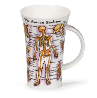 Buy Lovely Dunoon Human Body Skeleton Fine Bone China Mug Glencoe Style • 29.95£