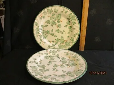 Buy Barretts   COUNTRY VINE   Dinner Plates 10.5   Set Of 2 Fine Tableware • 23.29£