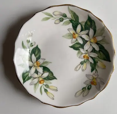 Buy Vintage Tuscan Fine English Bone China Dish. • 6.99£