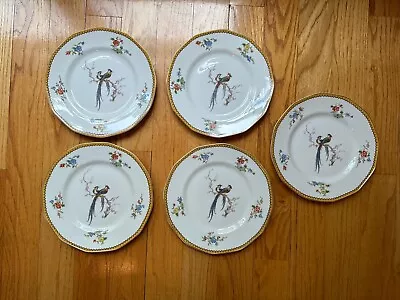 Buy Set Of 5 Antique French Haviland Limoges Eden Pattern Bird Dinner Plate 10.5” • 88.53£