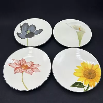 Buy Noritake Colorwave Graphite Collection Set 4 6.25” Appetizer Plates EUC Floral • 20.49£