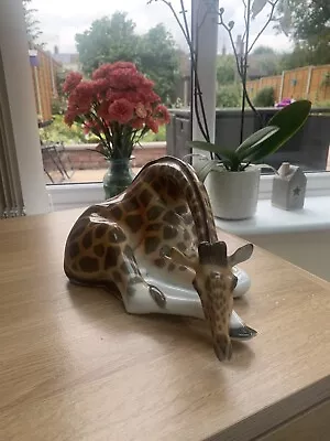 Buy Lomonosov Porcelain Resting Adult Giraffe [Made In The USSR] • 55£