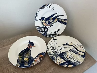 Buy Royal Stafford Earthenware Plates Set Of 3 Bird Rooster Duck 8.5” • 32.62£