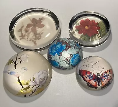 Buy Vintage Art Glass Clear With Bird Flowers Butterfly Picture Paperweights X 5 • 20£