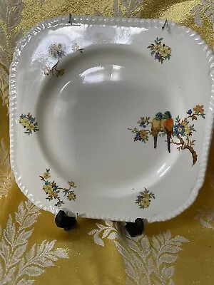 Buy Staffordshire Parrots And Floral Plate • 4£