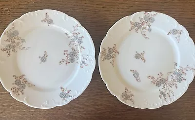 Buy Set Of 2   Vintage Haviland & Co French Limoges Blue Flower 6   Plates • 13.98£