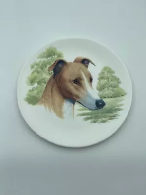 Buy Greyhound 8” Collectors Plate English Fine Bone China • 3.45£