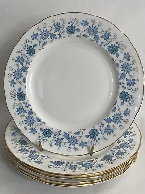 Buy 6 Vintage Floral Plates Colclough Bone China. Blue Flowers.  8.25” VGC • 25£