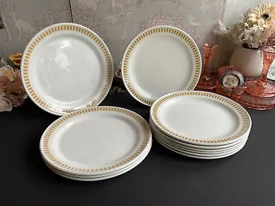 Buy Ridgway Steelite Mayfair Yellow Gold Brown Plates *multi* • 29.99£