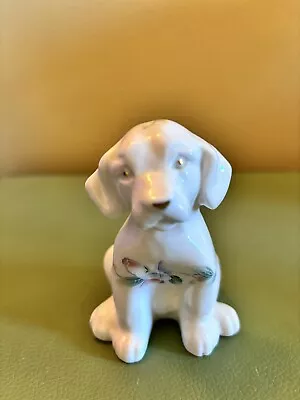 Buy Aynsley Little Sweetheart Design, Fine Bone China, Dog, Puppy Animal Figurine • 8.99£