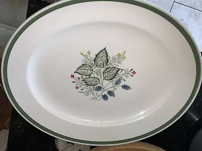 Buy John Maddock & Sons Royal Vitreous Porcelain Platter Green Merry Leaves Oval LG • 9.99£