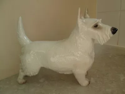 Buy Antique Nymphenburg West Highland White Terrier C.1920 • 185£
