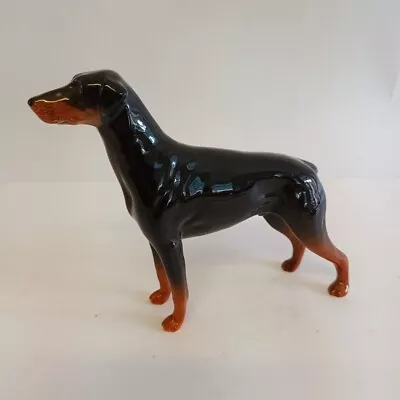 Buy Beswick Doberman Pinscher Dog Figurine 16cm Large Gloss • 24.99£